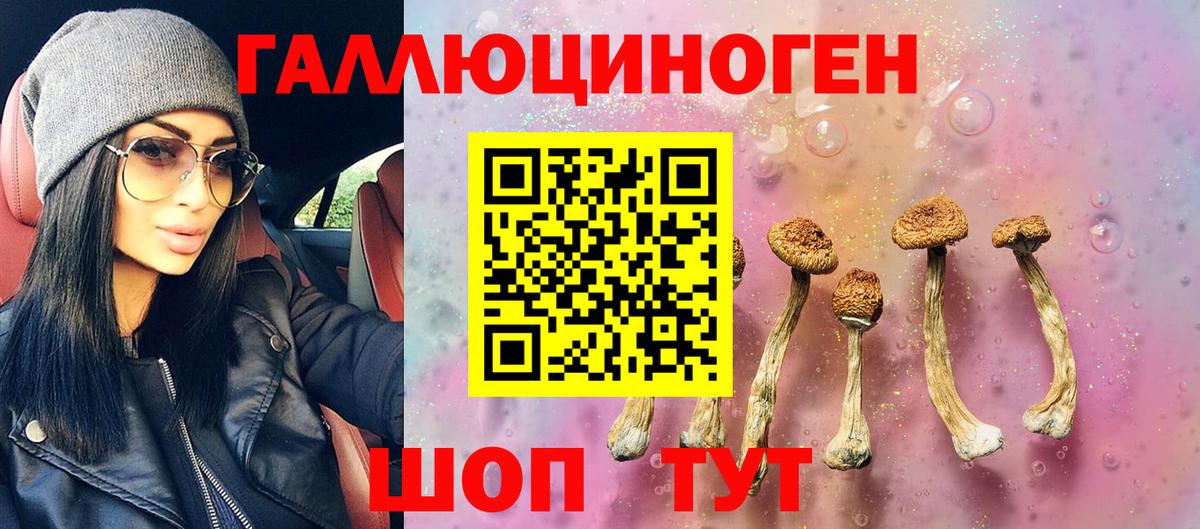 Баксан  Галлюциногенные грибы GOLDEN TEACHER  Галлюциногенные грибы прущие грибы  даркнет сайт  Вход с VPN 