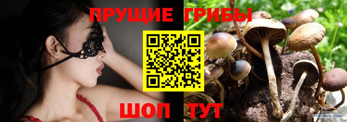 Псилоцибиновые грибы Psilocybine cubensis Баксан